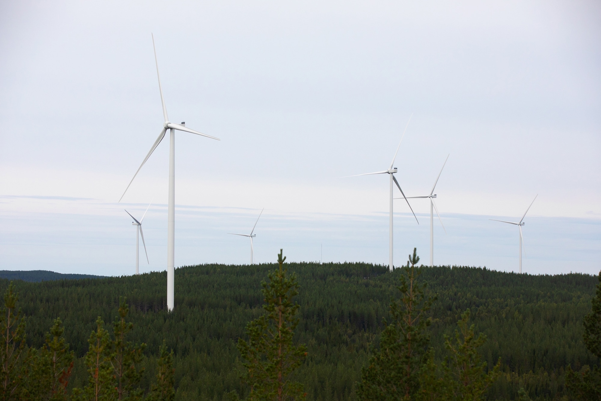 Energy Infrastructure Partners and RWE Renewables inaugurate 475 MW onshore project Nysäter Wind in northern Sweden